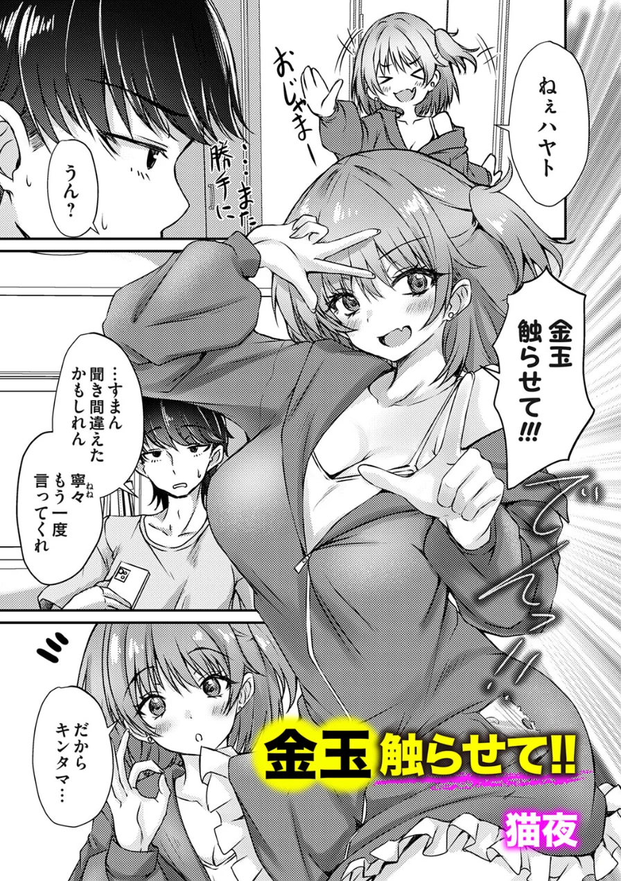 金玉触らせて！！（単話） 試し読み 1ページ