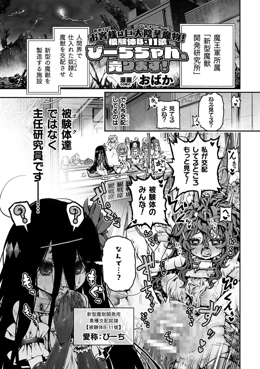 お客様は巨大陰茎魔物！被験体B-11號 びーちちゃん、売ります！【単話】（単話） 試し読み 1ページ