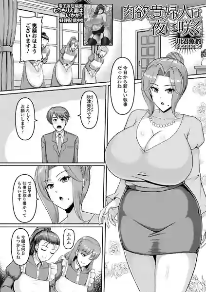 肉欲貴婦人は夜に咲く（単話） 表紙
