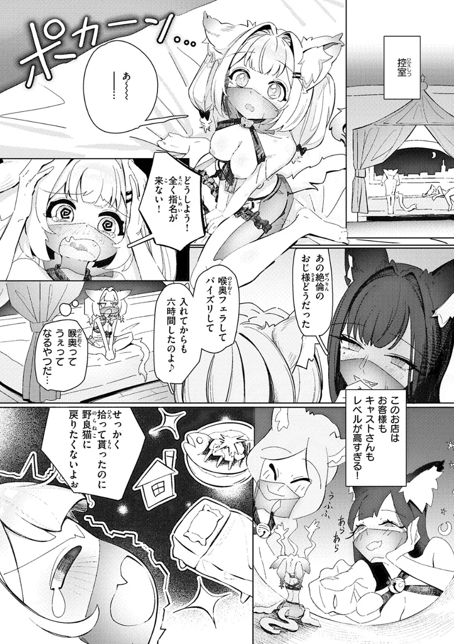 今夜は大胆！ 猫耳キャスト！！（単話） 試し読み 4ページ