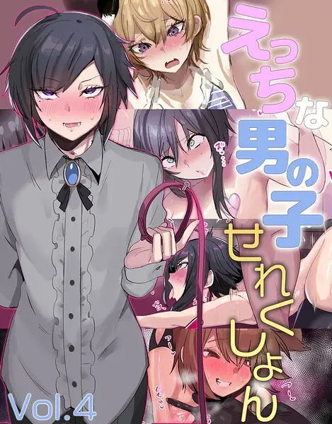 えっちな男の子せれくしょん 表紙