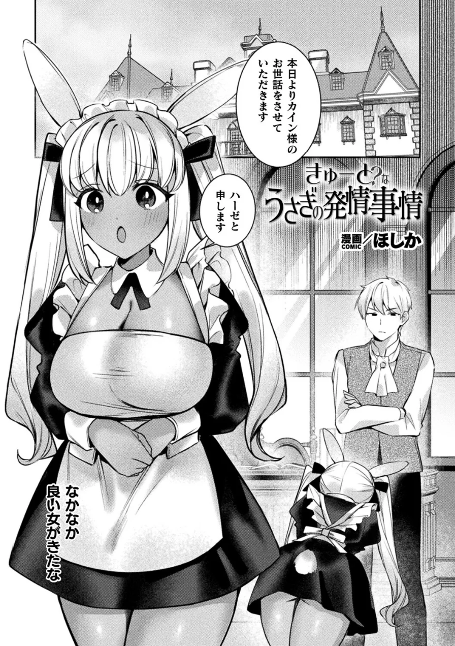 きゅーと？なうさぎの発情事情（単話） 試し読み 1ページ