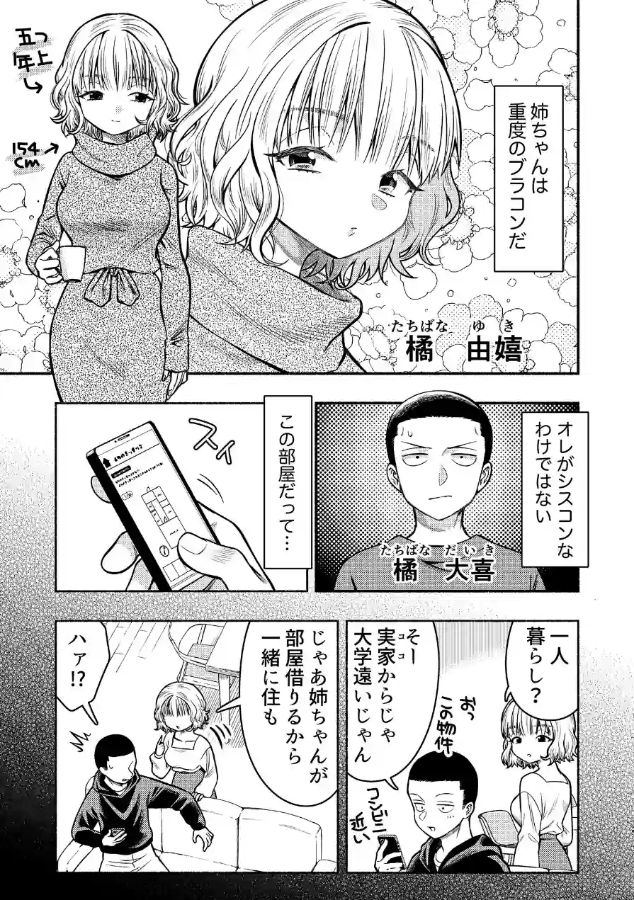 同棲してる姉と弟 試し読み 3ページ