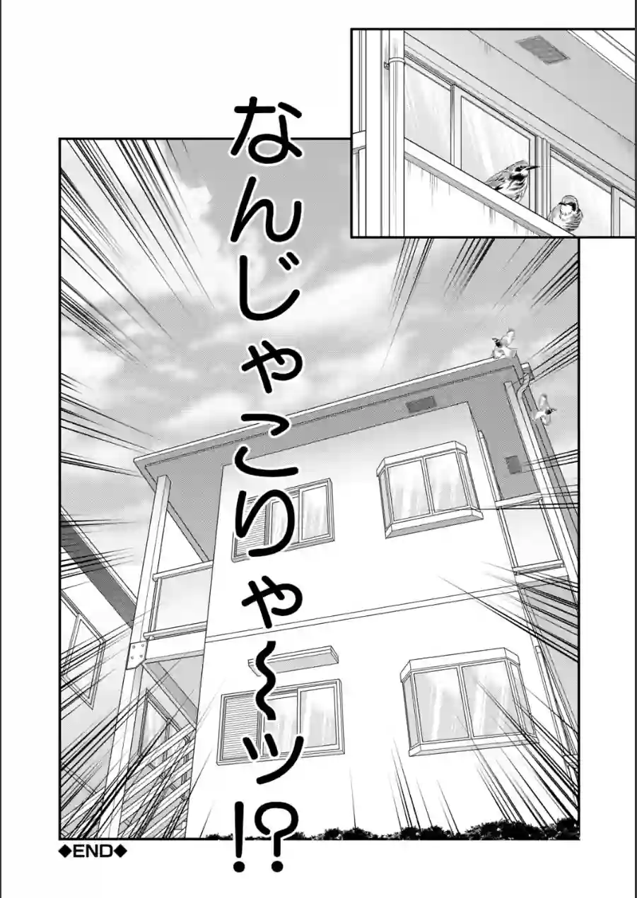 ご近所お姉さんと4Pってマジ！？ 試し読み 52ページ