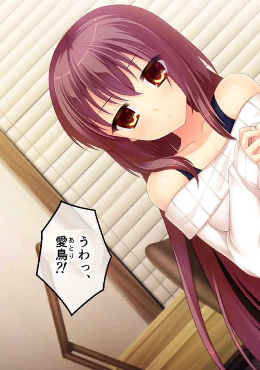 可愛いは正義！感度MAXな子 〜でも、女の子とは限りません！？〜【CG集コレクション】 モザイク版 試し読み 5ページ