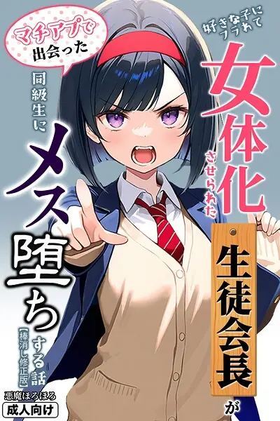 好きな子にフラれて女体化させられた生徒会長がマチアプで出会った同級生にメス堕ちする話【棒消し修正版】 表紙