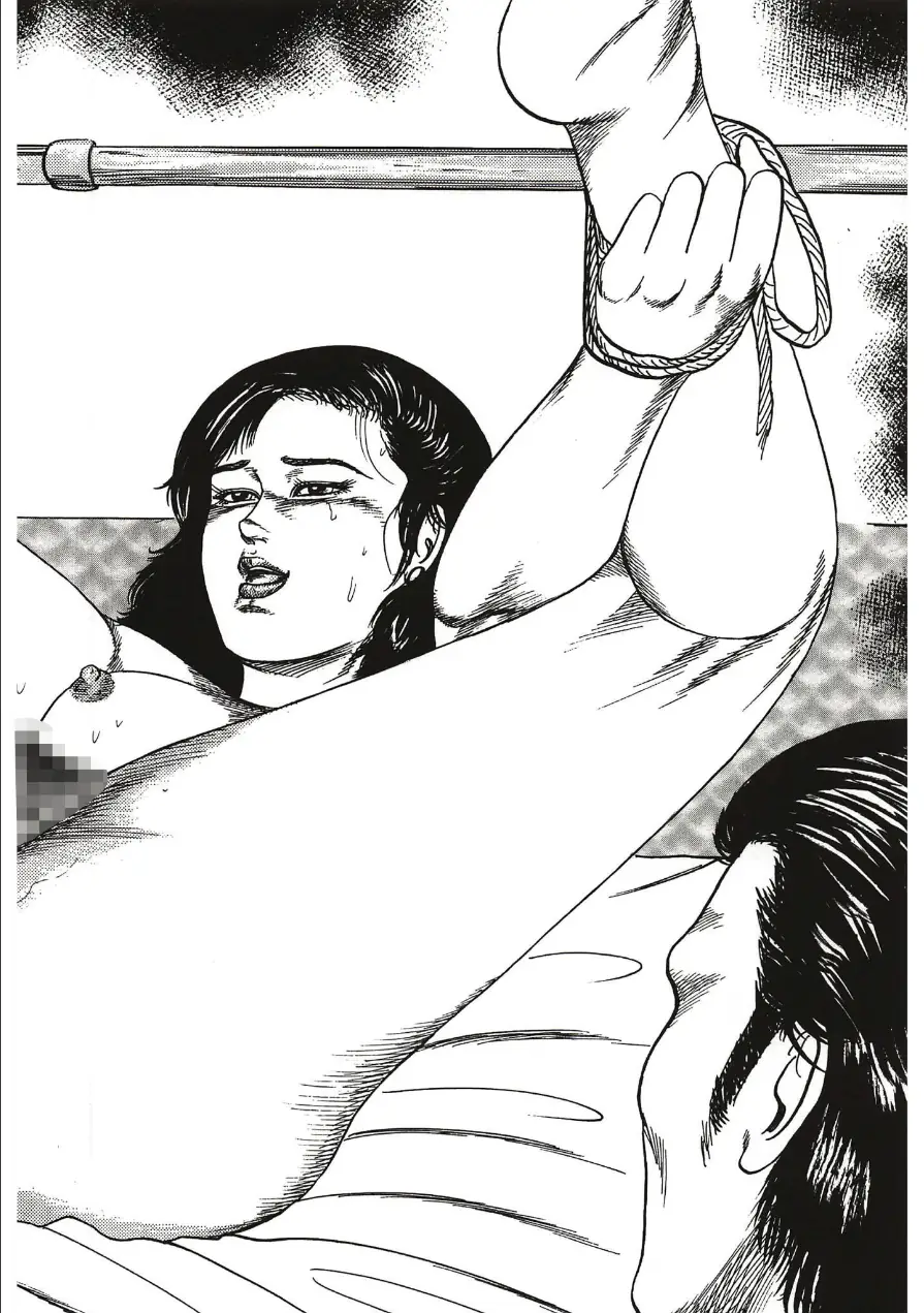 性獣夫人＜原画入り特装版＞・三条友美アンソロジー 試し読み 14ページ