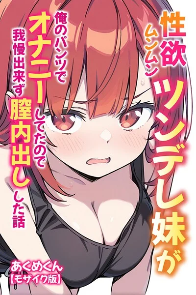 性欲ムンムンツンデレ妹が俺のパンツでオナニーしてたので我慢出来ず膣内出しした話【モザイク版】 表紙